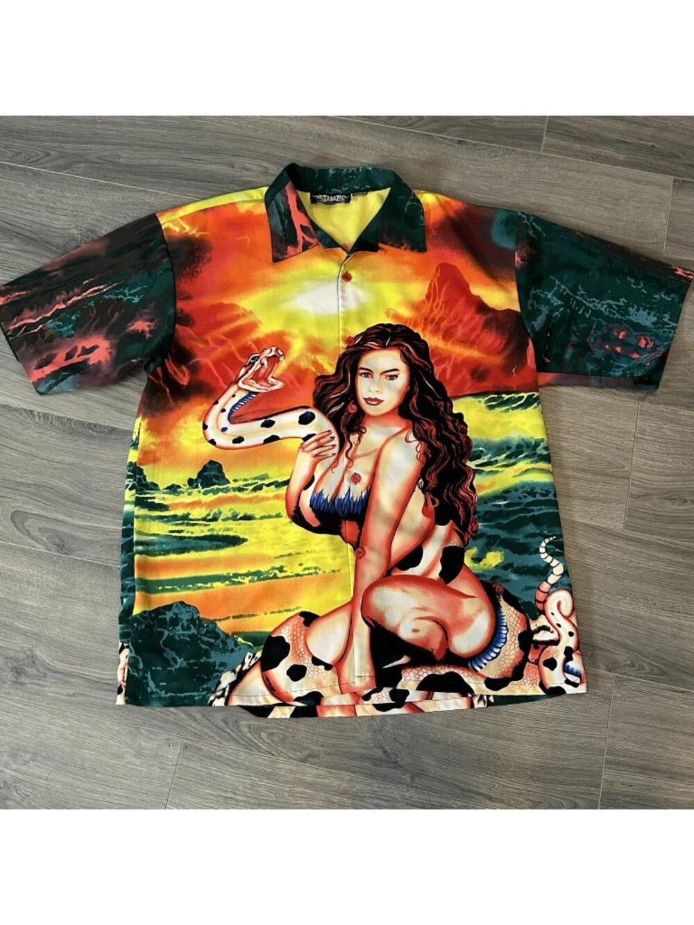 Vintage Dragonfly Clothing Company Shirt Mens 2XL Pin Up Snake Fantasy Button Up